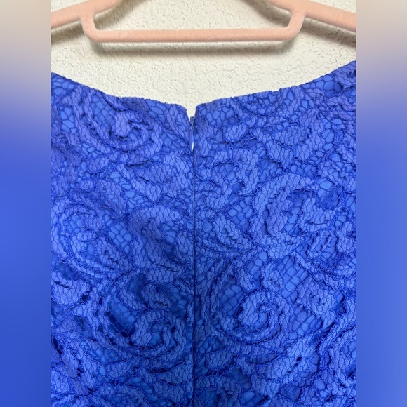 NWT Adrianna Papell Cobalt Blue Lace Overlay Knee Length Sheath Dress 12 - Picture 10 of 11